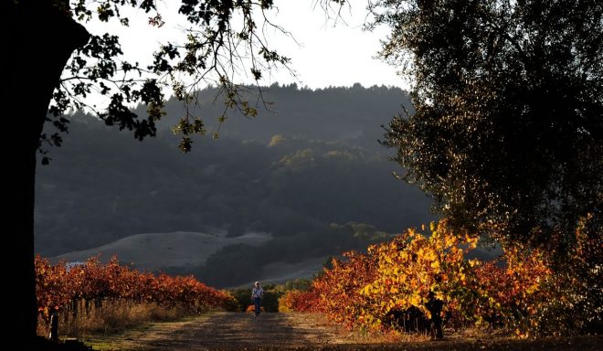 Romanin+mese%C4%8Dni+horoskop+za+oktober+2023+%28Foto%3A+Profimedia%29