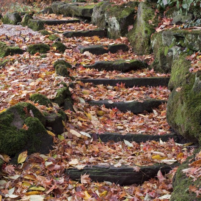 Romanin+mese%C4%8Dni+horoskop+za+november+2023+%28Foto%3A+Profimedia%29