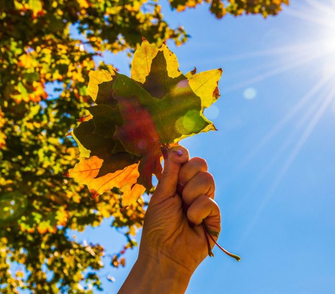 Romanin+tedenski+horoskop+za+%C5%BDenska.si+od+9.+10.+do+15.+10.+2023+%28Foto%3A+Profimedia%29